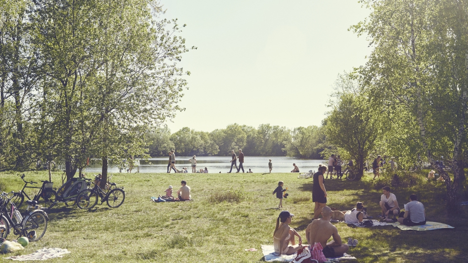 Wo sind die besten Badeseen Hamburgs? Der Boberger See gehört dazu. Foto: Philipp Schmidt