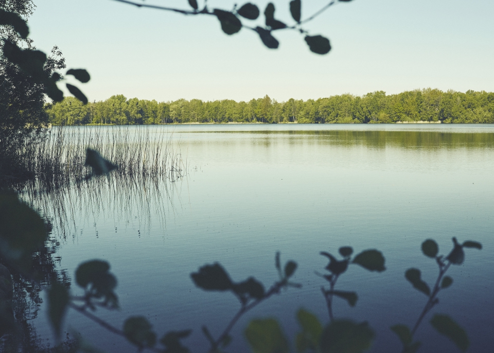 Der ruhige Großmoor See im Sommer unter blauem Himmel. Im Hintergrund am Ufer stehen die Bäume in sattem Grün