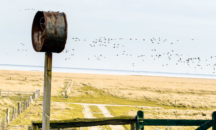 jasmin-unterwegs-wattenmeer-essen-und-trinken-titel-foto-yvonne-schmedemann