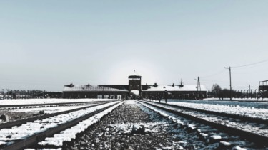 Holocaust-Lesung-Diskussion-Grindelhof