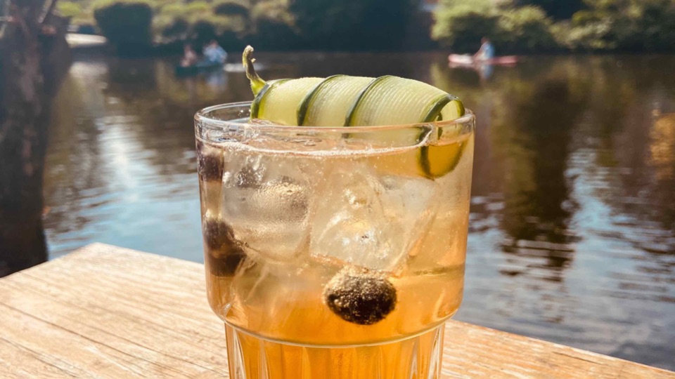 LG_Drink_Mood LINIE Ginger; Foto LINIE Aquavit