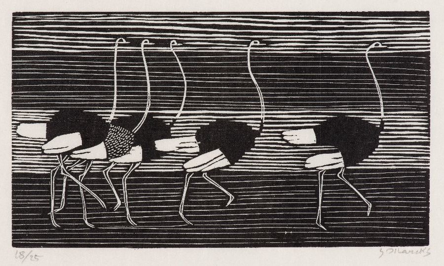 Gerhard Marcks: Laufende Strauße, 1956, Holzschnitt, Sammlung Ernst-Joachim Sorst, Hannover (Foto: VG Bild-Kunst, Bonn 2021; Werner Herling)