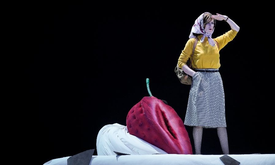 „Sophie Rois fährt gegen die Wand im Deutschen Theater“, die Bühnenfassung des Deutschen Theaters Berlin ist zu Gast beim Hamburger Theater Festival (Foto: Arno Declair)