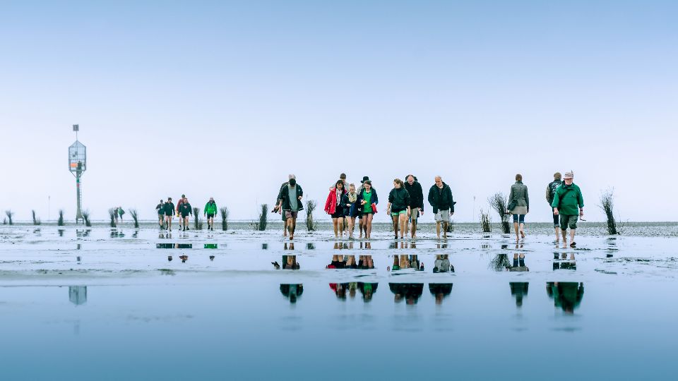 Eine Gruppe Menschen läuft durch das Wattenmeer zwischen Cuxhaven und Neuwerk