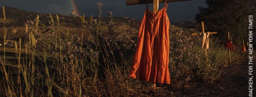 World Press Photo 2022_ Foto Amber Bracken