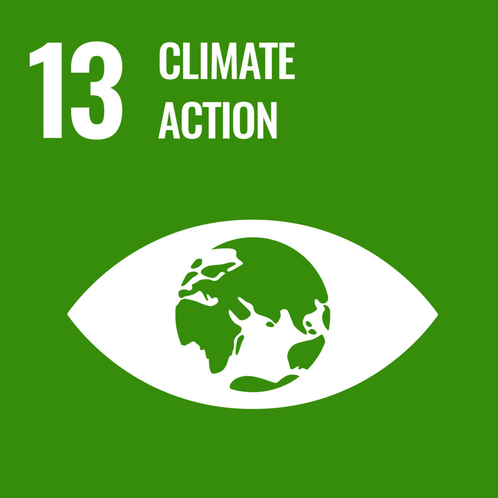Ziel 13: Maßnahmen zum Klimaschutz
