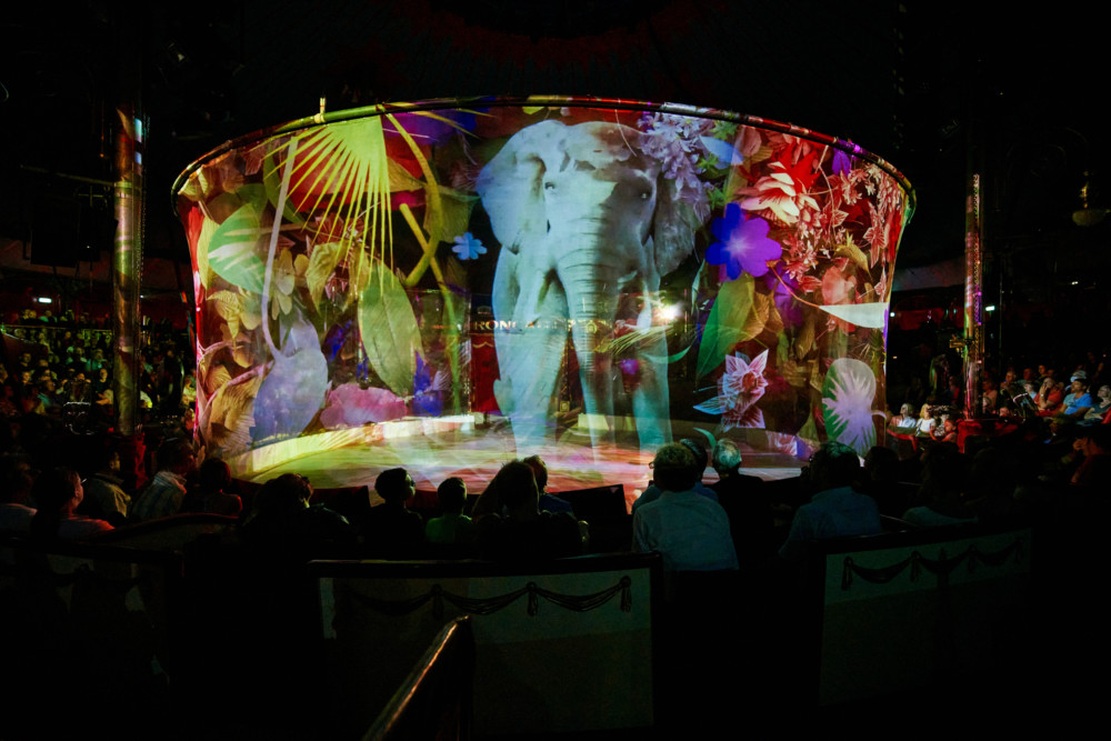 Tiere gibt es beim Circus-Theater Roncalli nur als Hologramm (©Circus-Theater Roncalli/Sebastian Stiphout Photography)