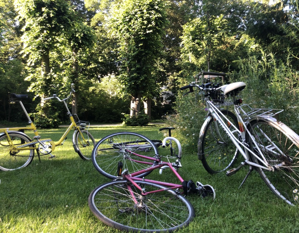 Fahrräder liegen im Schatten unter Bäumen im Wohlers Park in Hamburg