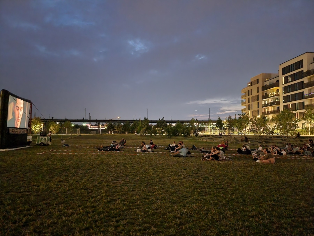 Eine Leinwand steht als Open-Air-Kino in Hamburg-Altona auf weiter Rasenfläche