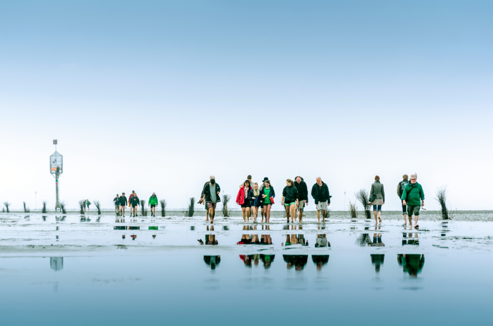 eine Gruppe wandert über das Watt bei Cuxhaven, eines der beliebten Ausflugsziele an der Nordsee