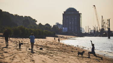 Strandbesucher am Elbstrand mit Hunden