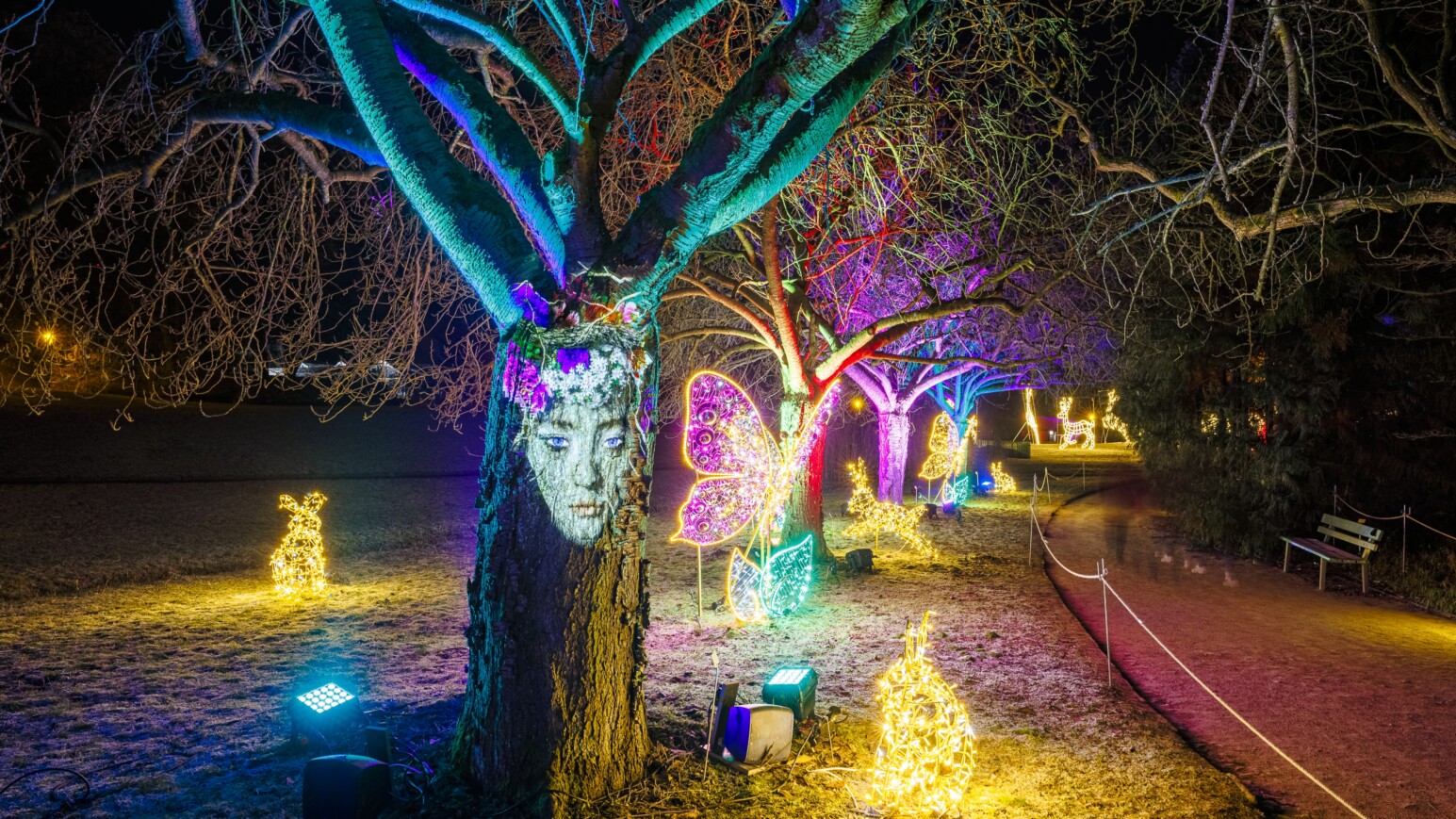 Kunstvolle Lichter illuminieren Bäume auf dem Christmas Garden