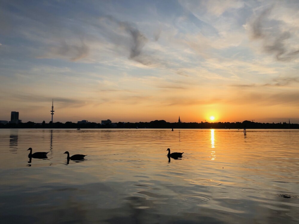 Der Sonnenuntergang an der Alster in Hamburg