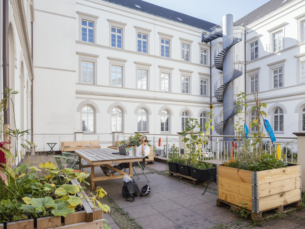 Zu sehen ist: Die Terrasse des Freiraums vom MK&G. Mit vielen Pflanzen und einer Person, die an einem Tisch sitzt und zu arbeiten scheint. 
