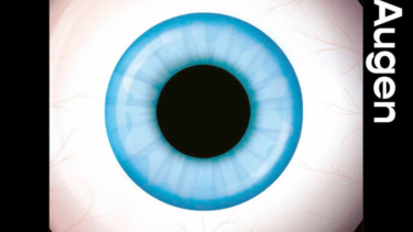 Buchcover „Das  Beste sind die Augen“