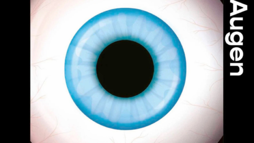 Buchcover „Das  Beste sind die Augen“