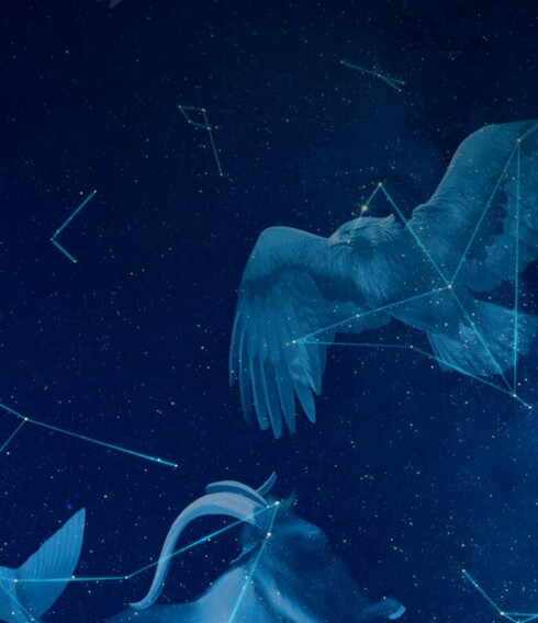Vögel vor blauem Hintergrund mit Linien durchzogen