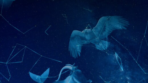 Vögel vor blauem Hintergrund mit Linien durchzogen