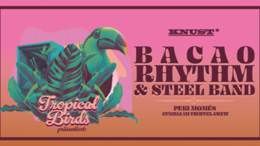 Illustration Rosa und Grün von Bacao Rhythm & Steel Band