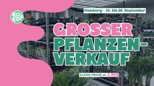 Illustration zum Grossen Pflanzenverkauf