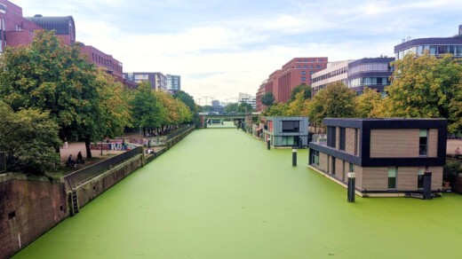 Bild von einem Fluss/ Kanal