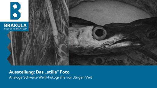 Logo von Brakula Kultur in Bramfeld mit weißem B auf blauem Hintergrund, daneben ein Schwarz-Weiß-Foto von zwei Fischen mit großen Augen. Text: 'Ausstellung: Das „stille“ Foto Analoge Schwarz-Weiß-Fotografie von Jürgen Veit'.