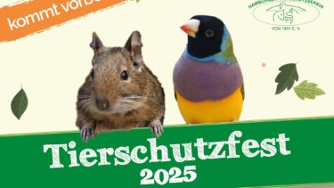 Kopf eines Meerschweinchens und ein bunter Vogel nebeneinander, darunter Schrift 'Tierschutzfest 2025', Logo Hamburger Tierschutzverein von 1841 e.V.
