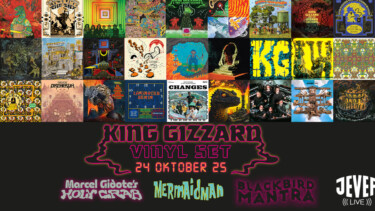 Illustration vom King Gizzard Vinyl Set