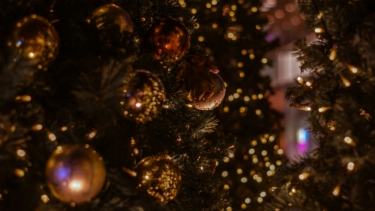 Zuhause auf Zeit: Jugendliche aus sieben Ländern suchen aktuell eine Gastfamilie in Hamburg. Für drei von ihnen ist es besonders dringend, da sie aus unterschiedlichen Gründen nicht in ihren aktuellen Familien bleiben können