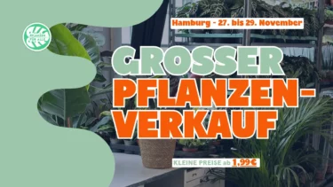 Großer Pflanzenverkauf in der Katholischen Akademie