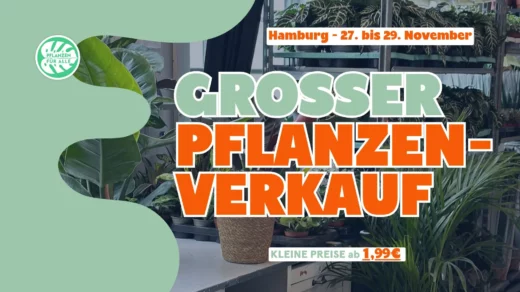 Großer Pflanzenverkauf in der Katholischen Akademie