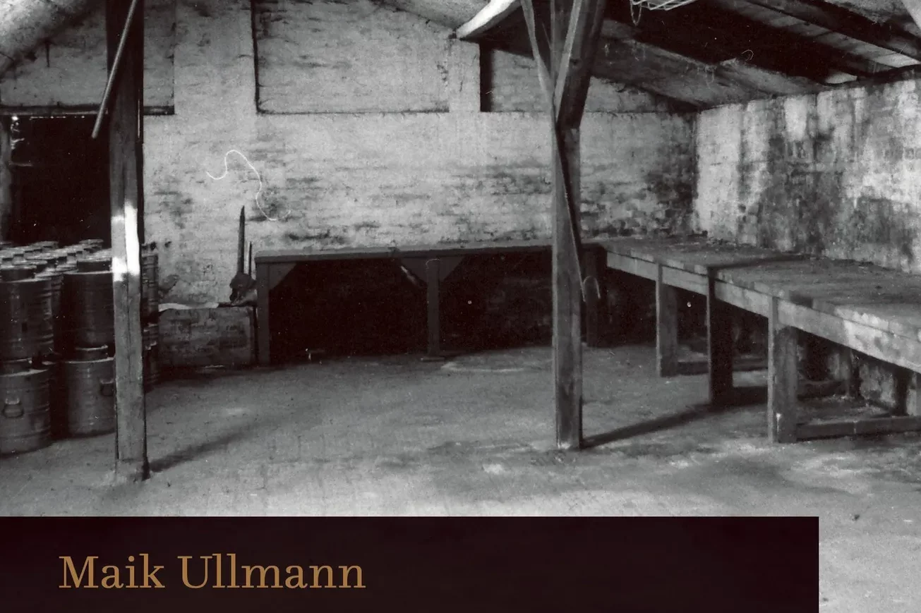 Cover von Dr. Maik Ullmann "Vor der Erinnerung"