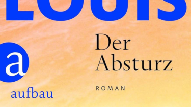Ein Teil des Covers zum Roman „Der Absturz“