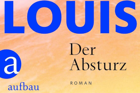 Ein Teil des Covers zum Roman „Der Absturz“