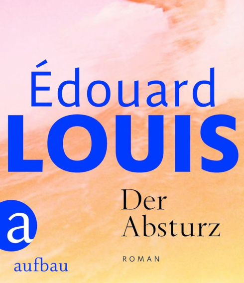 Ein Teil des Covers zum Roman „Der Absturz“