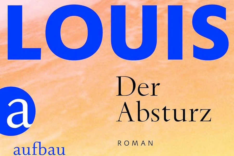 Ein Teil des Covers zum Roman „Der Absturz“