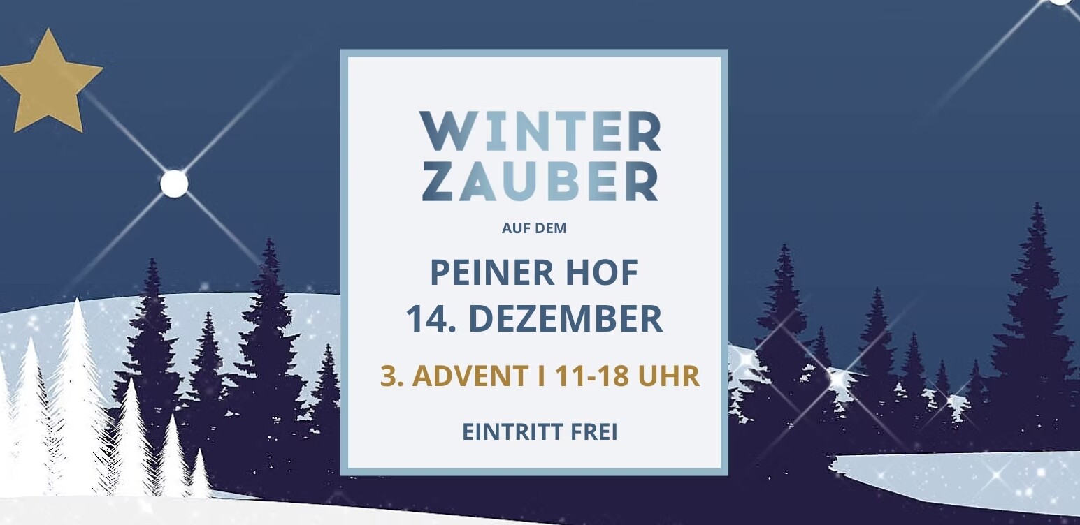 Poster für Winterzauber im Goldschätzchen Hamburg