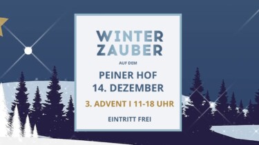 Poster für Winterzauber im Goldschätzchen Hamburg