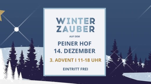 Poster für Winterzauber im Goldschätzchen Hamburg