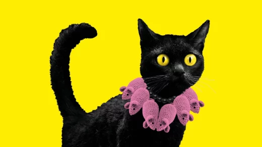 Plakat der Ausstellung KATZEN! im MARKK e.V.