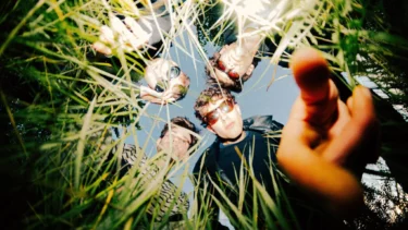 Die Band Nikita Curtis