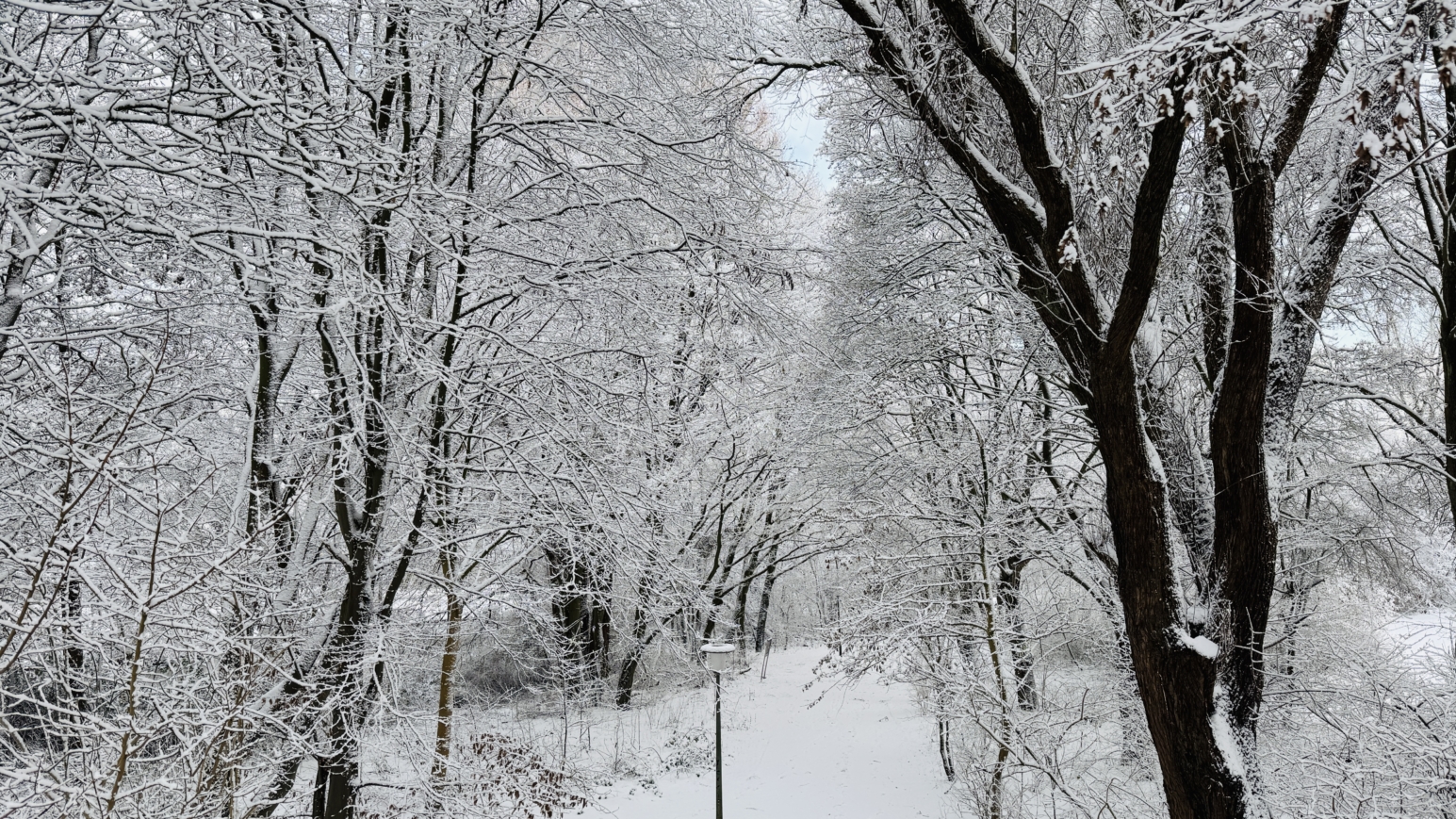 Verschlafen startet Hamburg ganz in Weiß ins Jahr 2026