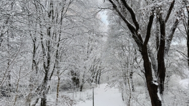 Verschlafen startet Hamburg ganz in Weiß ins Jahr 2026