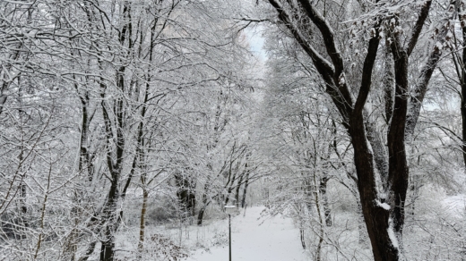 Verschlafen startet Hamburg ganz in Weiß ins Jahr 2026