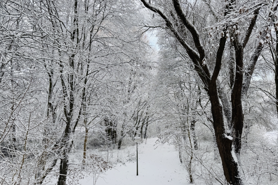 Verschlafen startet Hamburg ganz in Weiß ins Jahr 2026