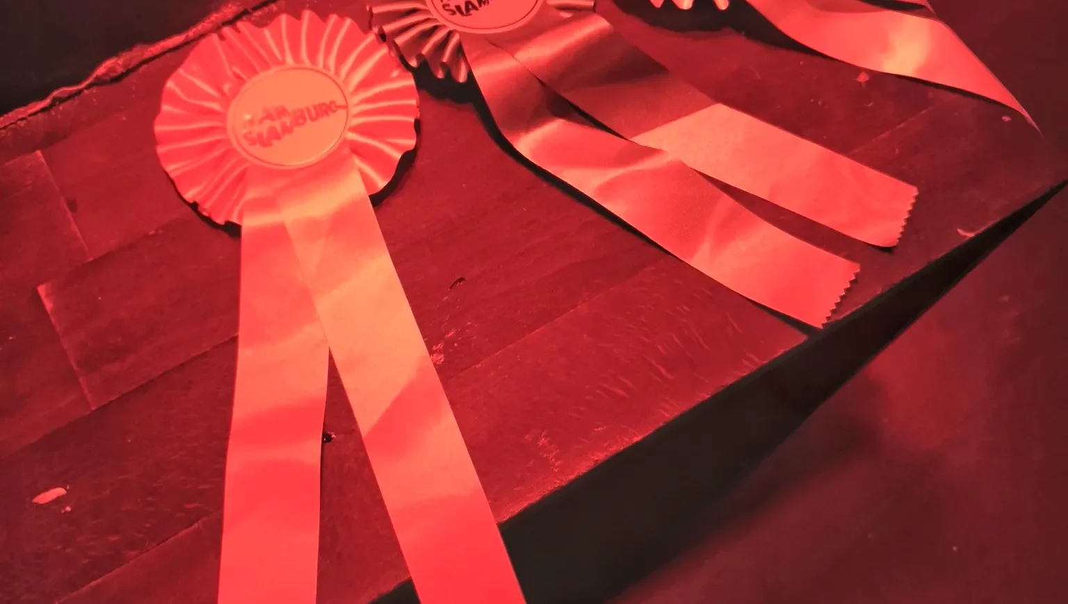 Poetry Slam Slamburg im Nochtspeicher