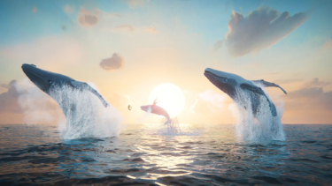Von tänzerischer Majestät vor tiefstehender Sonne: die animierten Meeressäuger von „Der letzte Walsänger“