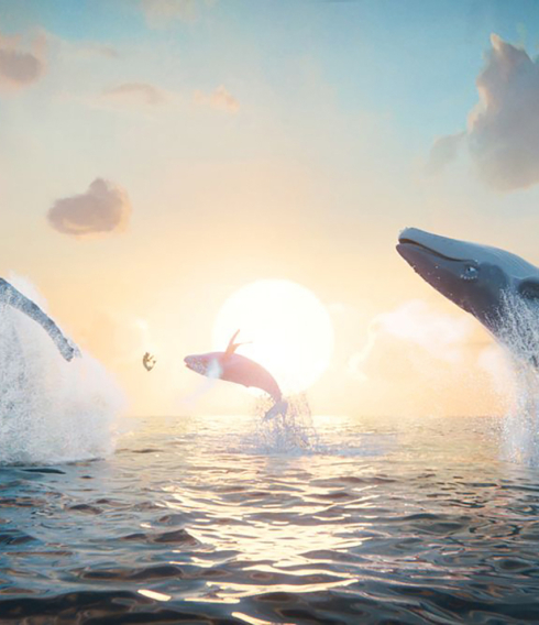 Von tänzerischer Majestät vor tiefstehender Sonne: die animierten Meeressäuger von „Der letzte Walsänger“