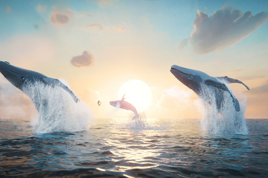 Von tänzerischer Majestät vor tiefstehender Sonne: die animierten Meeressäuger von „Der letzte Walsänger“