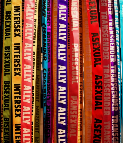 Queere Buchempfehlungen aus zahlreichen Genres